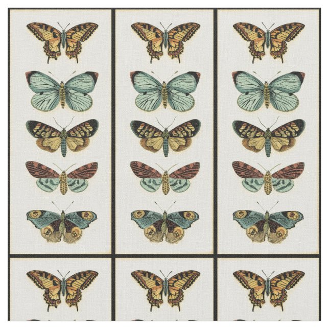 Butterfly Collection von Chariklia Zarris Stoff (Nahaufnahme)