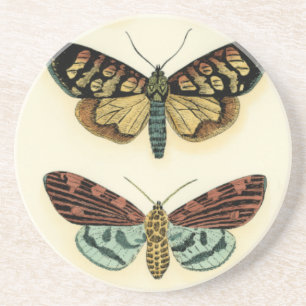 Butterfly Collection von Chariklia Zarris Untersetzer