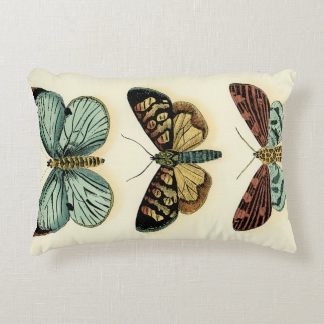 Butterfly Collection von Chariklia Zarris Zierkissen (Vorderseite)