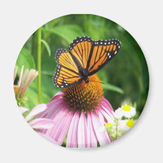 Butterfly Cone Blume Magnet