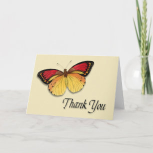 Butterfly Danke