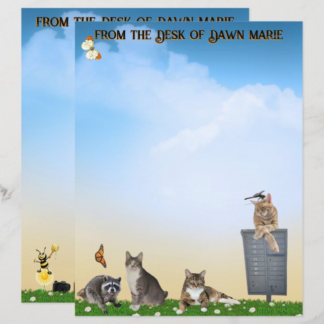 Butterfly, Dragonfly, Raccoon, and Summer Fun (Vorne/Hinten)