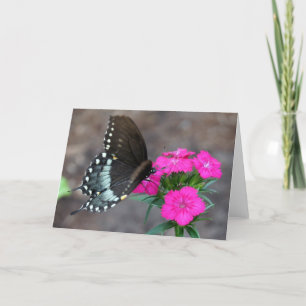 Butterfly Dreaming Karte