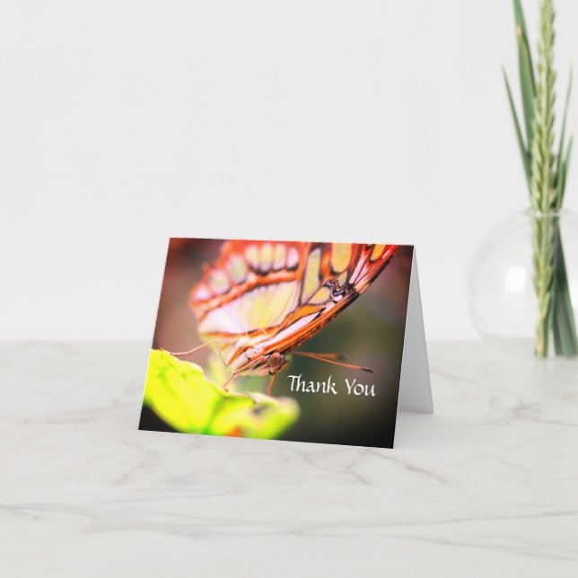 Butterfly Face Nature Vielen Dank Dankeskarte (Vorderseite)