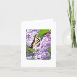 Butterfly Feeding Greeting Card Karte