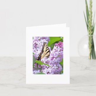 Butterfly Feeding Greeting Card Karte