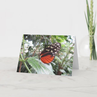 Butterfly-Flügel Karte