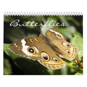 Butterfly-Foto Kalender