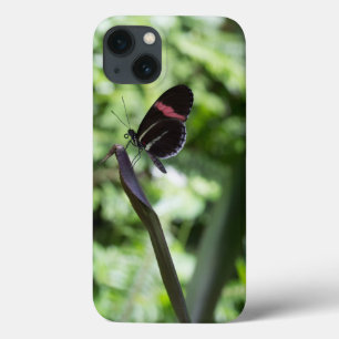 Butterfly-Fotografie Case-Mate iPhone Hülle