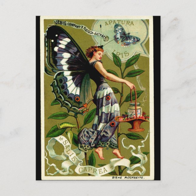 BUTTERFLY FRAU Postcard Postkarte (Vorderseite)