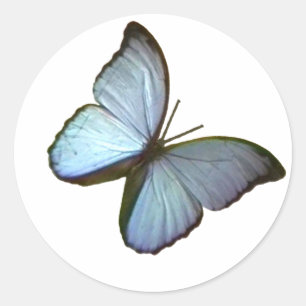 Butterfly Freiburg Deutschland Blue 45 deg The MUS Runder Aufkleber