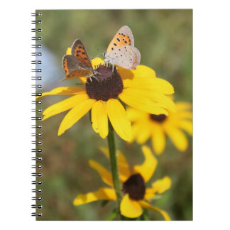 Butterfly Friends Spiral Notebook Notizblock