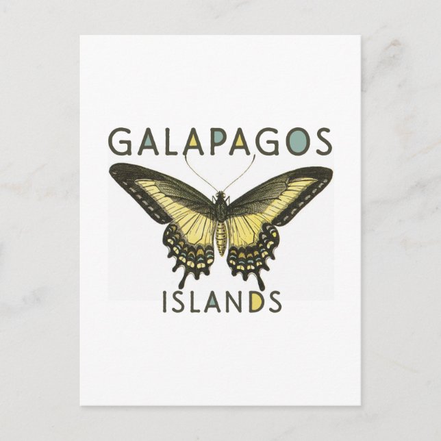 Butterfly Galapagos-Inseln Postkarte (Vorderseite)