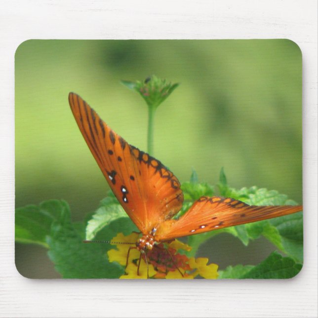 Butterfly Garden Mousepad (Vorne)