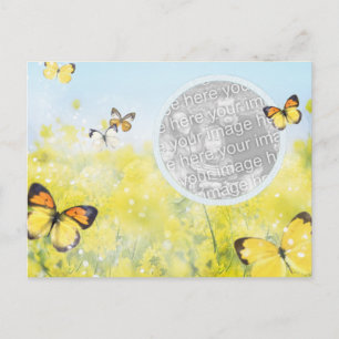 Butterfly Garden Postcard Postkarte