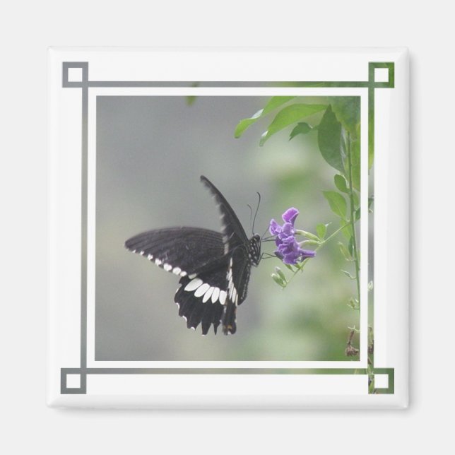Butterfly Garden Square Magnet (Vorne)