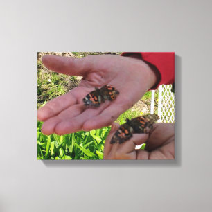 Butterfly Garden Wrapped Canvas Leinwanddruck