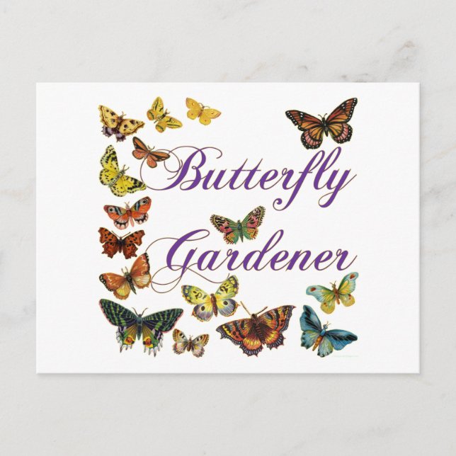 Butterfly Gardener Sprichwort Postkarte (Vorderseite)