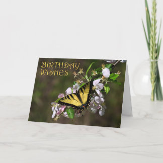 Butterfly Geburtstag 1 Karte