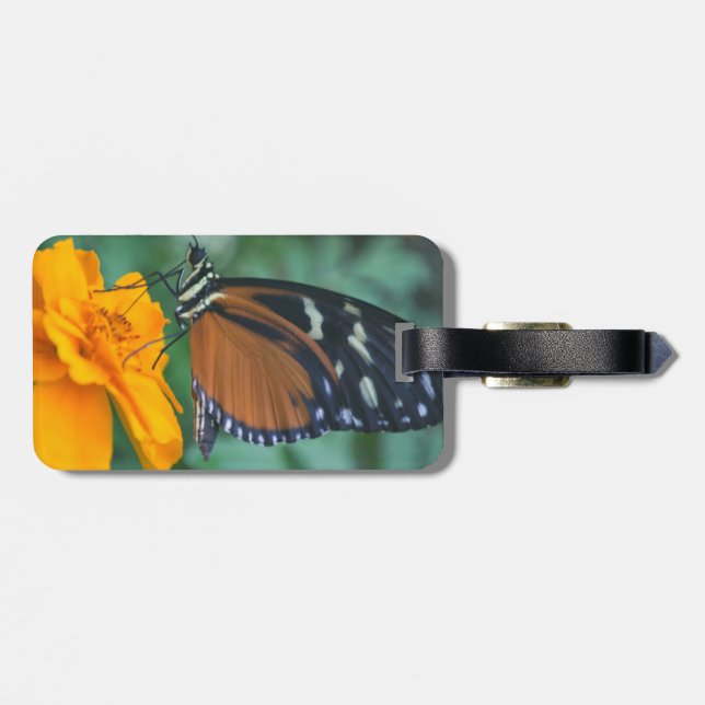 Butterfly-Gepäckmarke Gepäckanhänger (Rückseite horizontal)