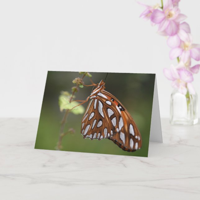 Butterfly Gulf Fritillary Passion Orange Gepunktet Karte (Orchidee)