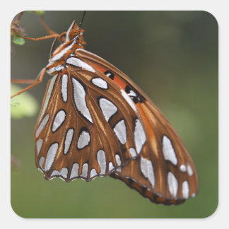 Butterfly Gulf Fritillary Passion Orange Gepunktet Quadratischer Aufkleber
