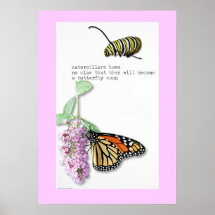 Butterfly Haiku-Plakat Poster