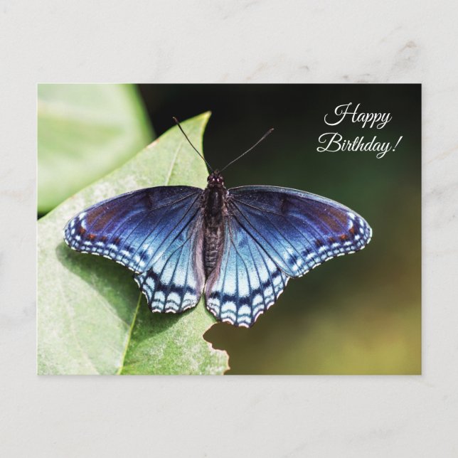 Butterfly Happy Birthday Postcard Postkarte (Vorderseite)