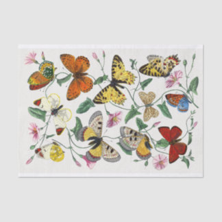 Butterfly Illustration Tissue Paper Seidenpapier