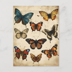 Butterfly Kaleidoskop: Vintage Postkarte