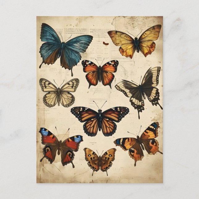 Butterfly Kaleidoskop: Vintage Postkarte (Vorderseite)