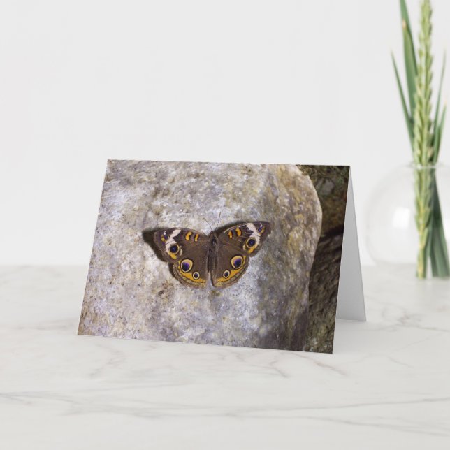 Butterfly-Karte Karte (Vorderseite)