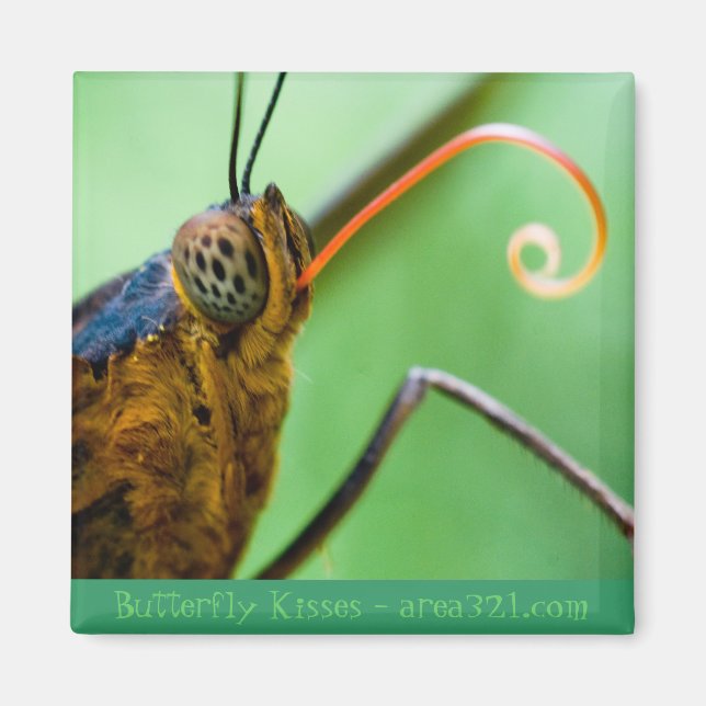 Butterfly Kisses Magnet (Vorne)