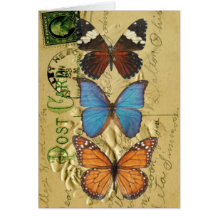 Butterfly-Kollektion