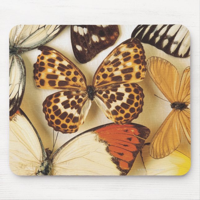 Butterfly-Kollektion Mousepad (Vorne)