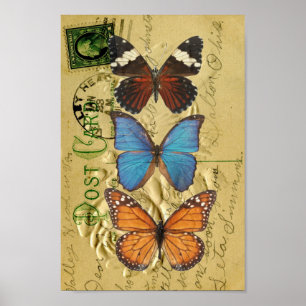 Butterfly-Kollektion Poster