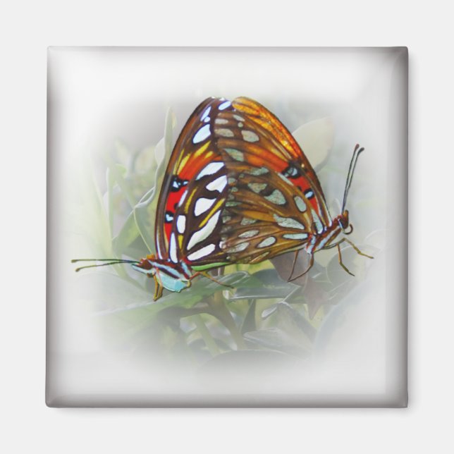 Butterfly Liebe Magnet (Vorne)