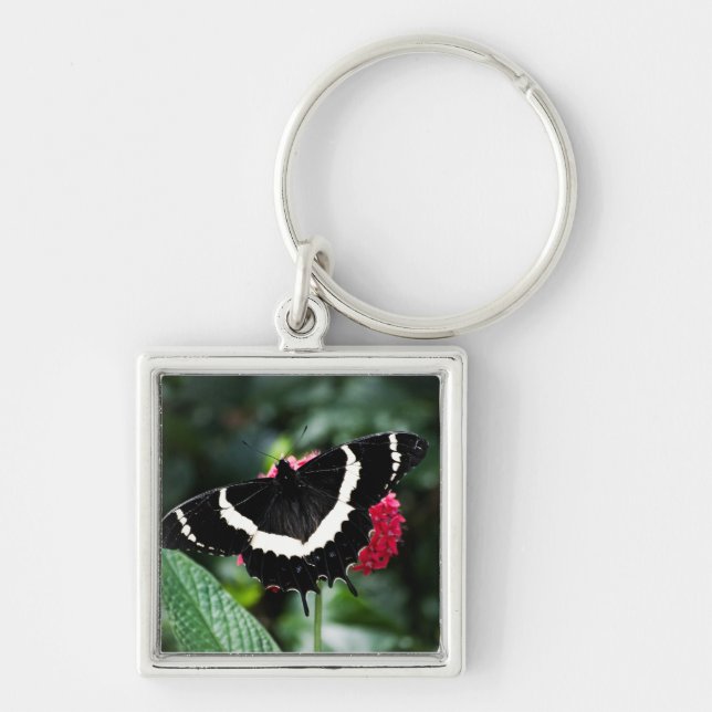 Butterfly Lolipop Schlüsselanhänger (Vorne)