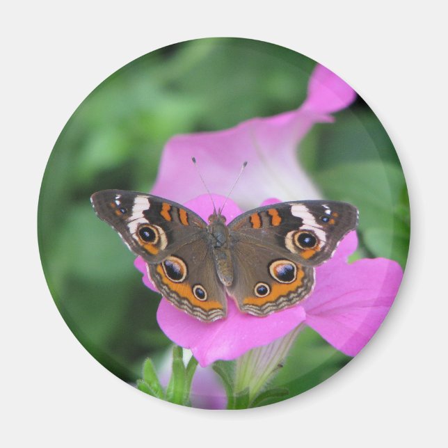 Butterfly Magnet (Vorne)