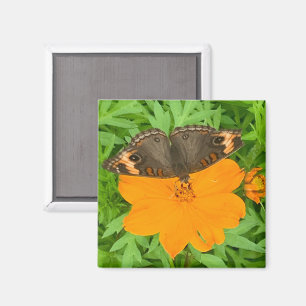 Butterfly Magnet