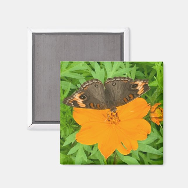 Butterfly Magnet (Vorderseite/Rückseite)
