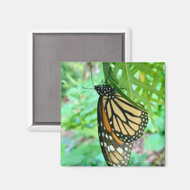 Butterfly Magnet (Vorderseite/Rückseite)