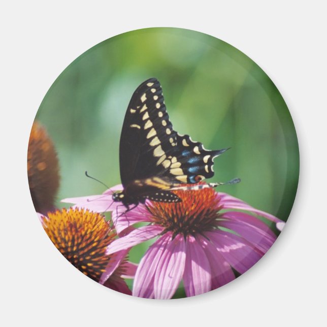 Butterfly Magnet (Vorne)