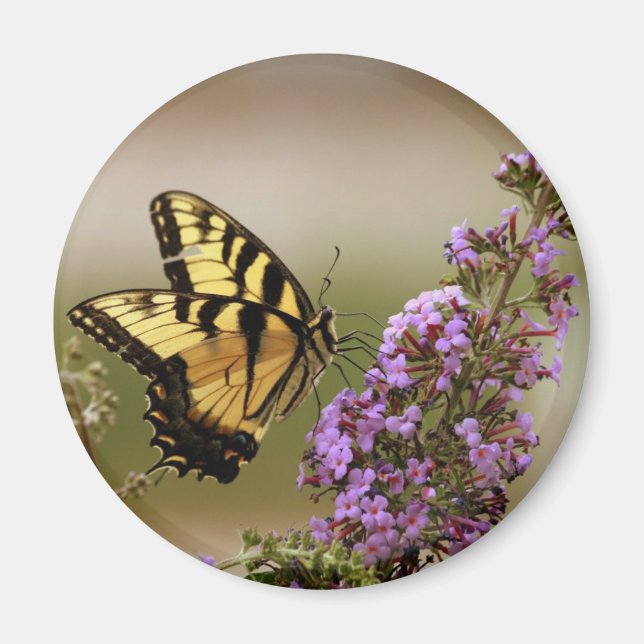 Butterfly Magnet (Vorne)