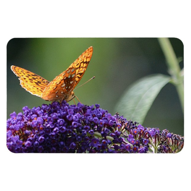 Butterfly Magnet (Horizontal)