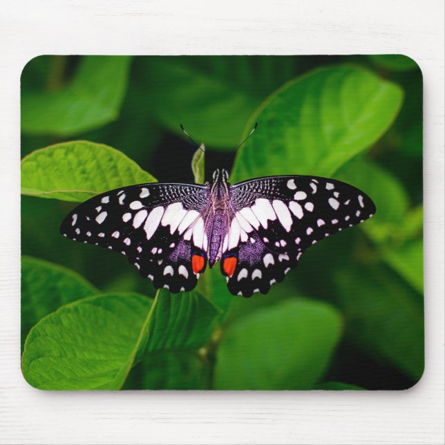 Butterfly-Maus-Matte Mousepad (Vorne)