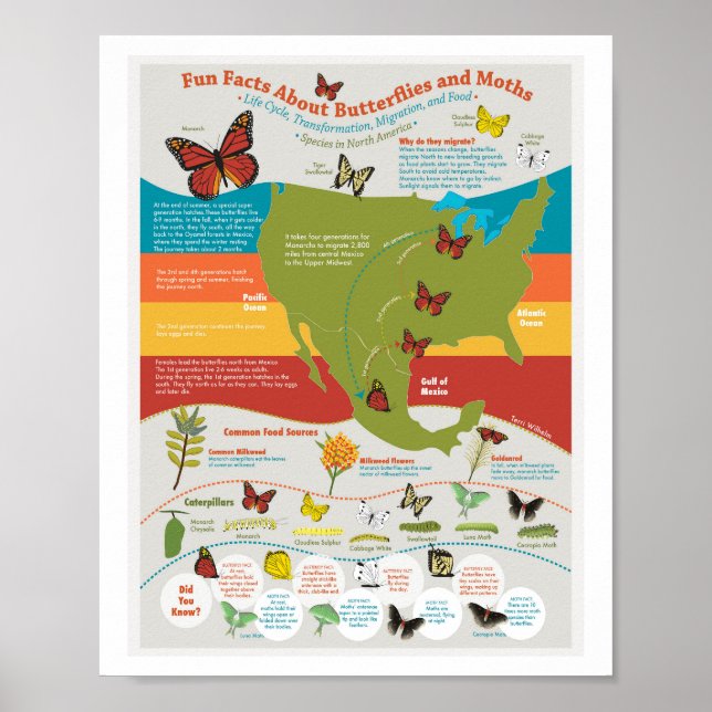 Butterfly Migration Poster (Vorne)