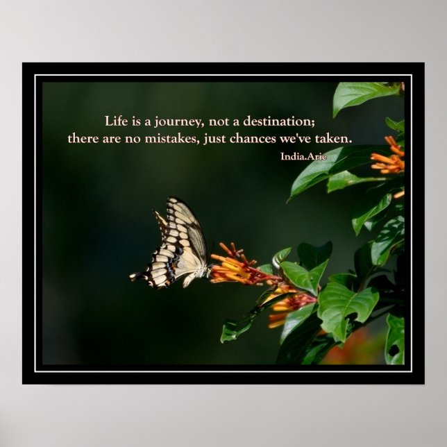 Butterfly mit India Arie Zitat Poster (Vorne)