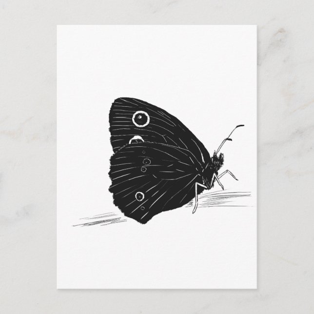 Butterfly Monochrome  Postkarte (Vorderseite)