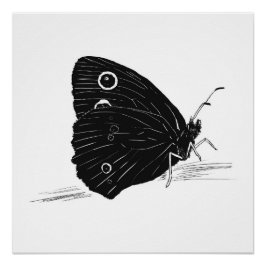 Butterfly Monochrome Print / Poster